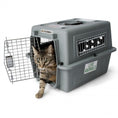 Load image into Gallery viewer, Petmate® Sky Kennel® - Secure Pet Travel Crate Doog