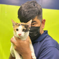 Load image into Gallery viewer, A Doog groomer smiling and posing with a beautiful cat, showcasing the loving care and expertise provided during grooming sessions in a friendly environment.