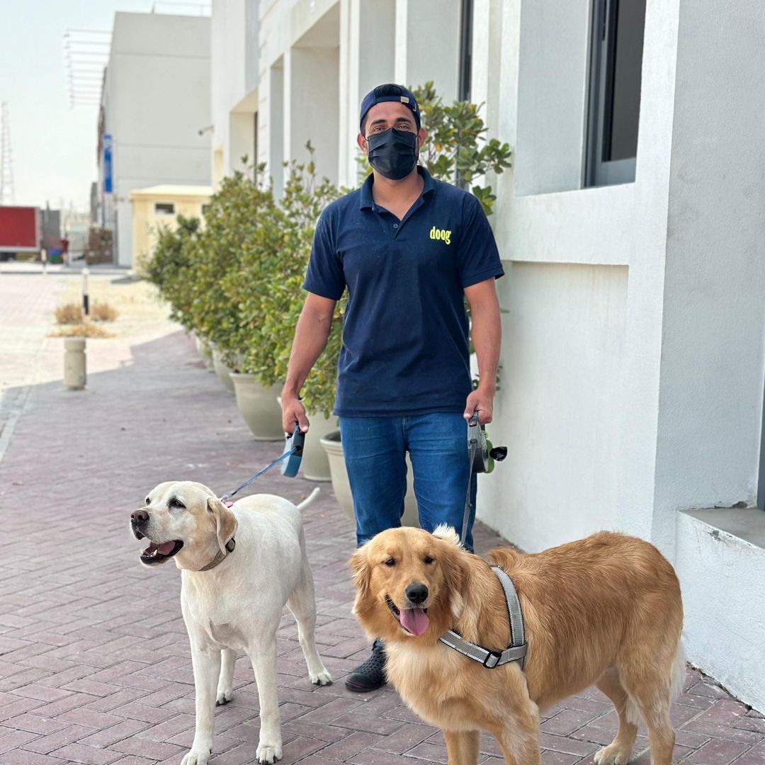 Pet Boarding Playtime Pet Sitters And Dog Walkers Pawspace Pet