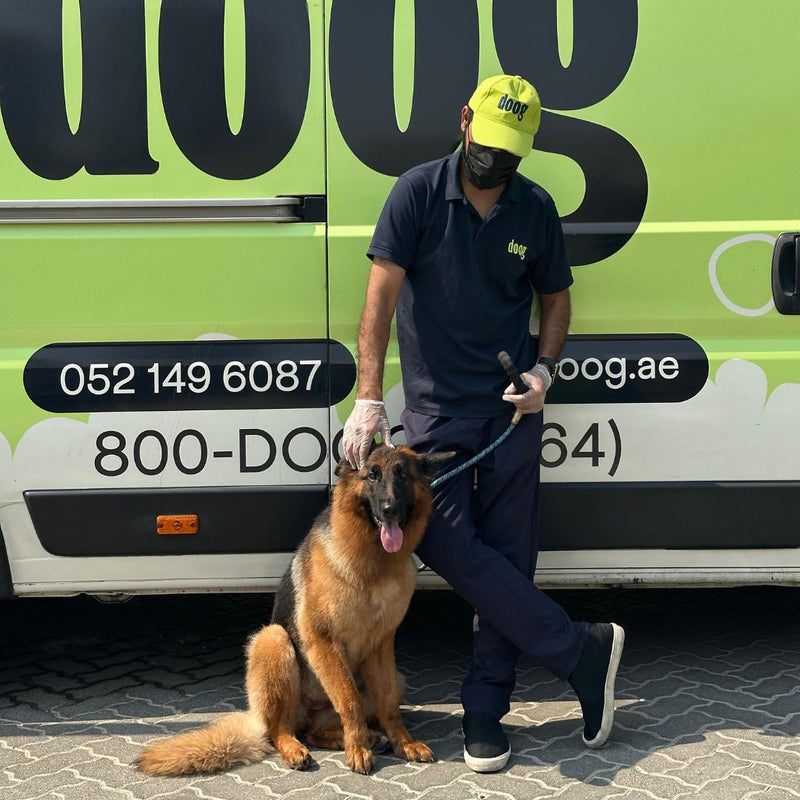 A Doog groomer posing proudly with a German Shepherd outside the mobile grooming van, showcasing a happy pet after a successful grooming session in a vibrant outdoor setting.