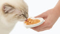 Load image into Gallery viewer, CatIt Creamy Lickable Treats - Chicken 12pk/box Doog