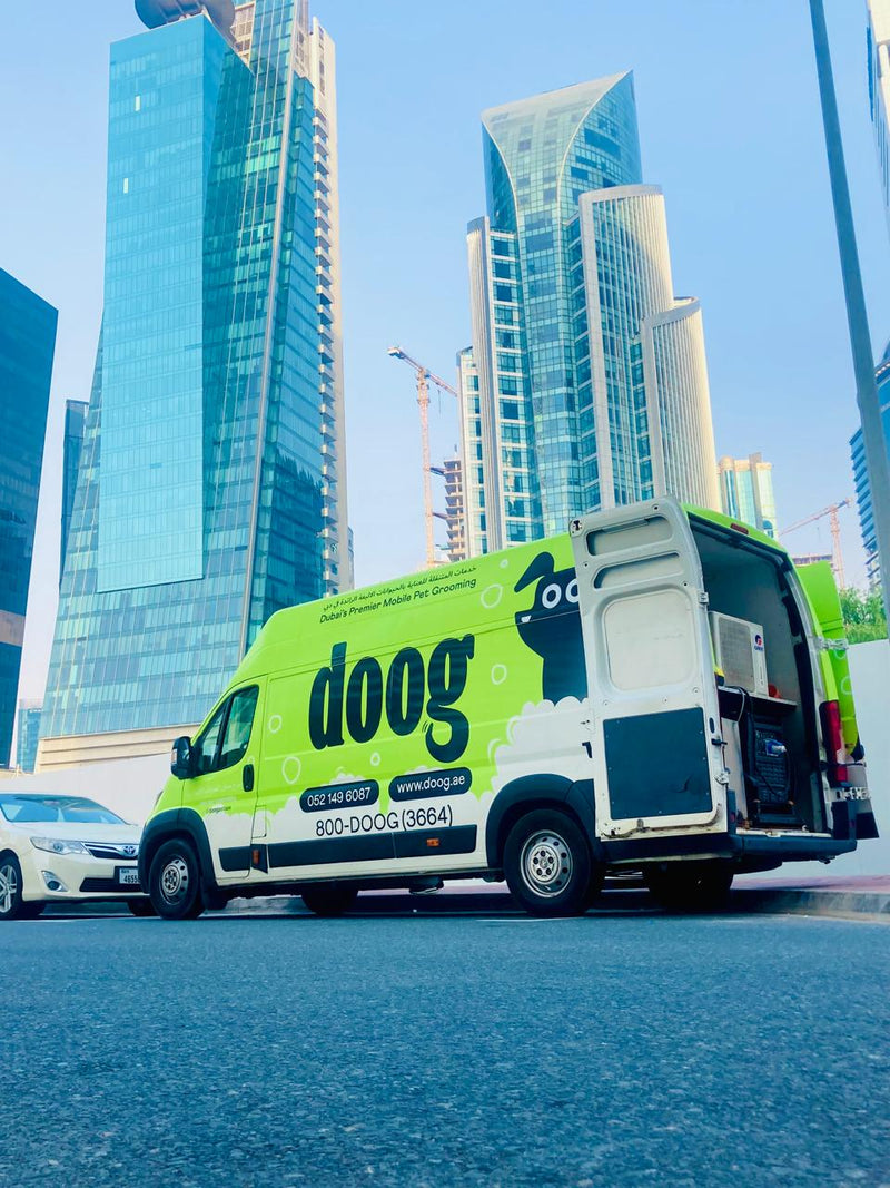A beautiful low-angle view of the Doog grooming van parked on the street, showcasing its vibrant design and professional branding against the backdrop of the urban environment.