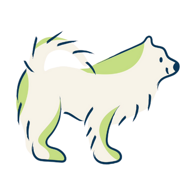 Dog grooming