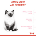 Load image into Gallery viewer, ROYAL CANIN® Feline Health Nutrition Kitten 4 KG Doog