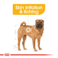 Load image into Gallery viewer, ROYAL CANIN® Canine Care Nutrition Medium Dermacomfort 12 KG Doog