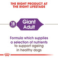 Load image into Gallery viewer, Royal Canin Size Health Nutrition Giant Adult - 15 KG | Premium Dog Food Doog