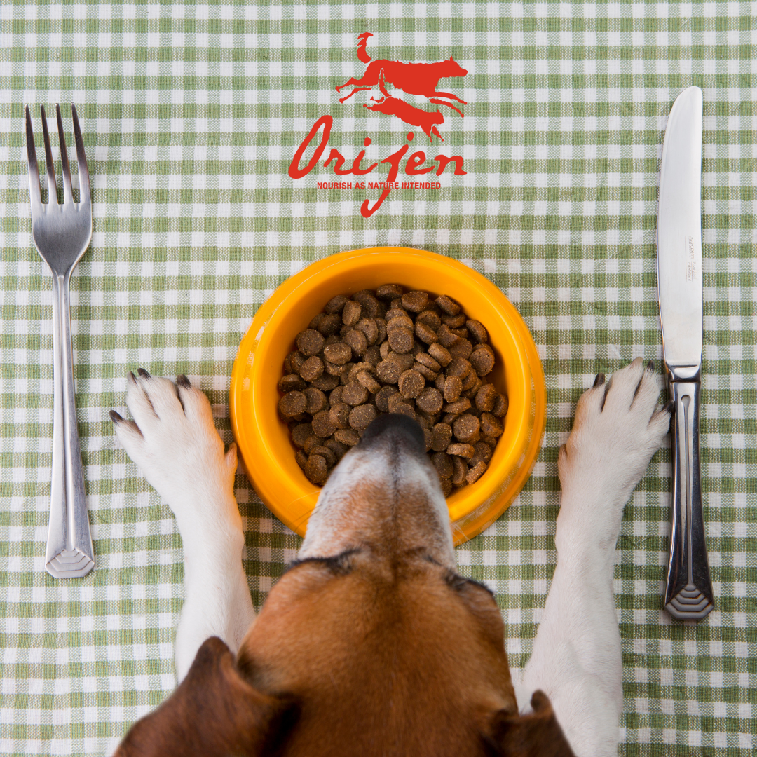 orijen pet food