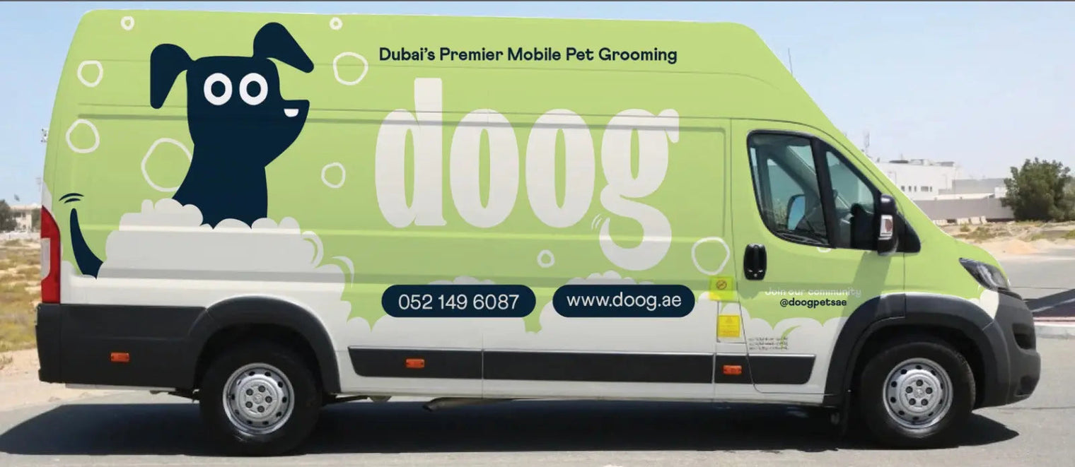 dubai pet grooming