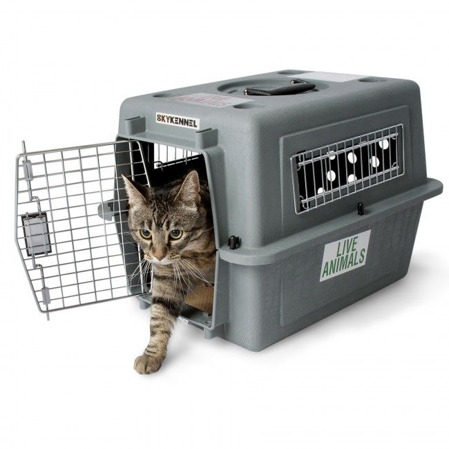 Petmate® Sky Kennel® - Secure Pet Travel Crate Doog
