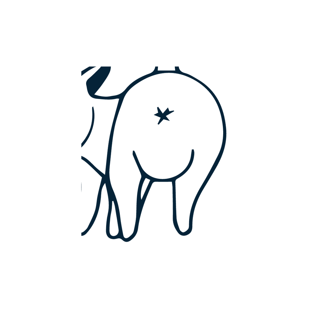 A graphic depicting the boot area of a dog, highlighting its features, including the tail, legs, and paws, in a playful and colorful design.