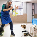 Load image into Gallery viewer, Pet Boarding & Daycare
