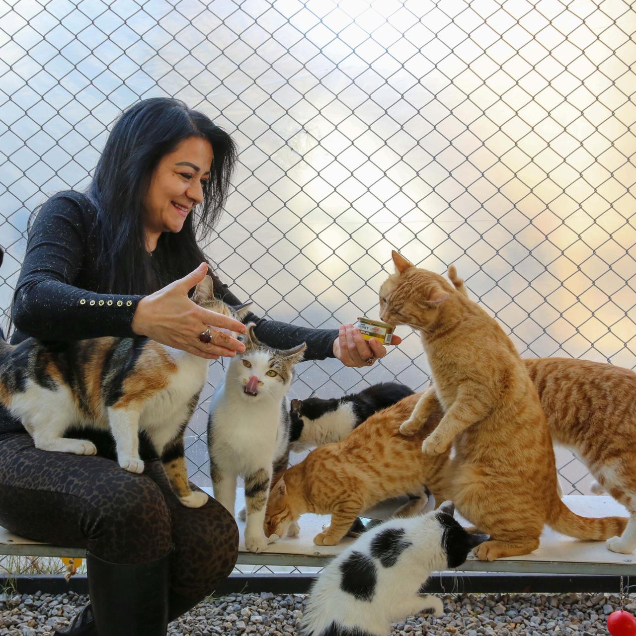 Pet Boarding & Daycare