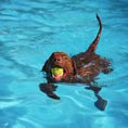 Load image into Gallery viewer, Pet Boarding & Daycare

