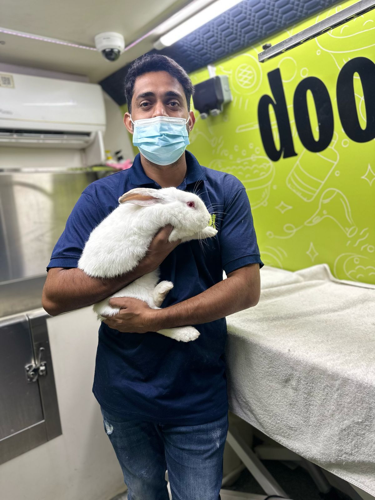 Rabbit Grooming Dubai