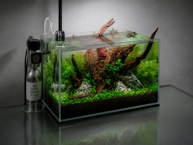 Aquarium with plants, rocks, and a CO2 system on a reflective surface.