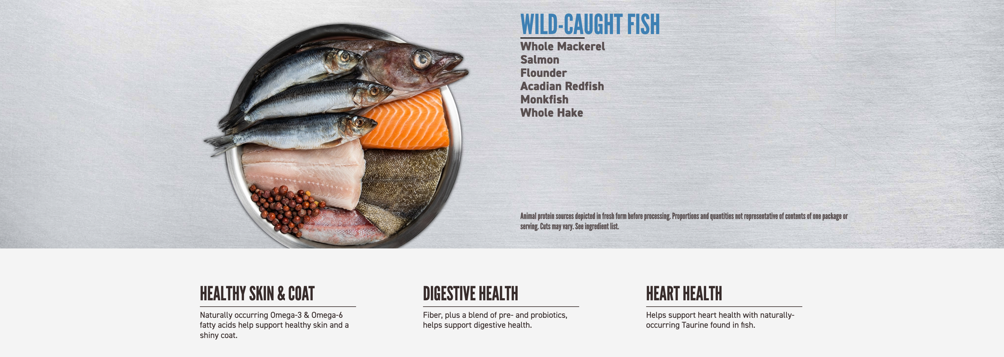 A vibrant graphic displaying ingredients for food made from wild-caught fish, featuring fresh fish fillets, vegetables, and grains, highlighting the nutritious components of a balanced pet diet.

