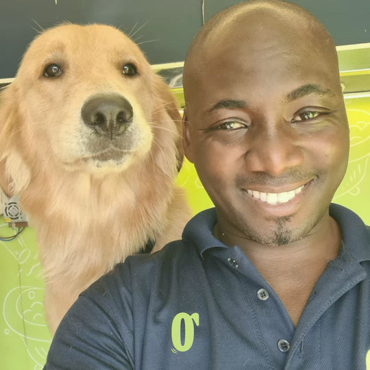 Professional Pet Sitting Services in Dubai Top Pet Sitter Doog