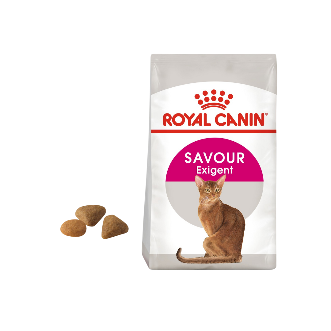 Buy ROYAL CANIN® Feline Health Nutrition Exigent Savour 10 KG Online Doog