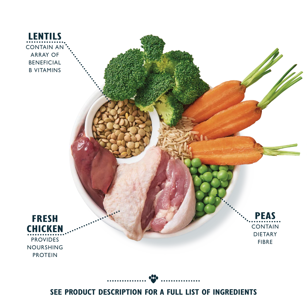 Lily's Kitchen Organic Chicken Bake Adult Dry Dog Food