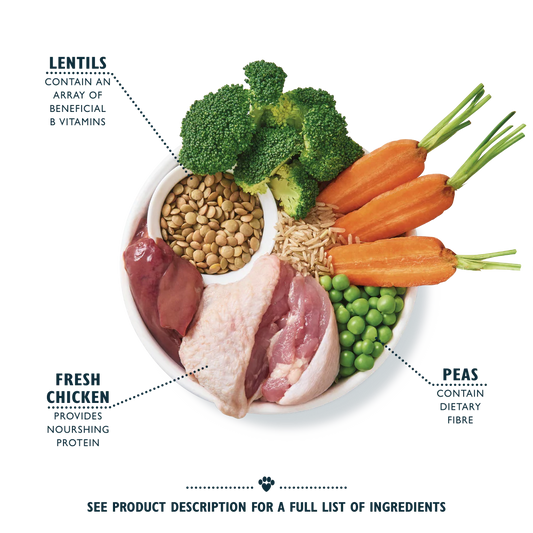 Lily's Kitchen Organic Chicken Bake Adult Dry Dog Food