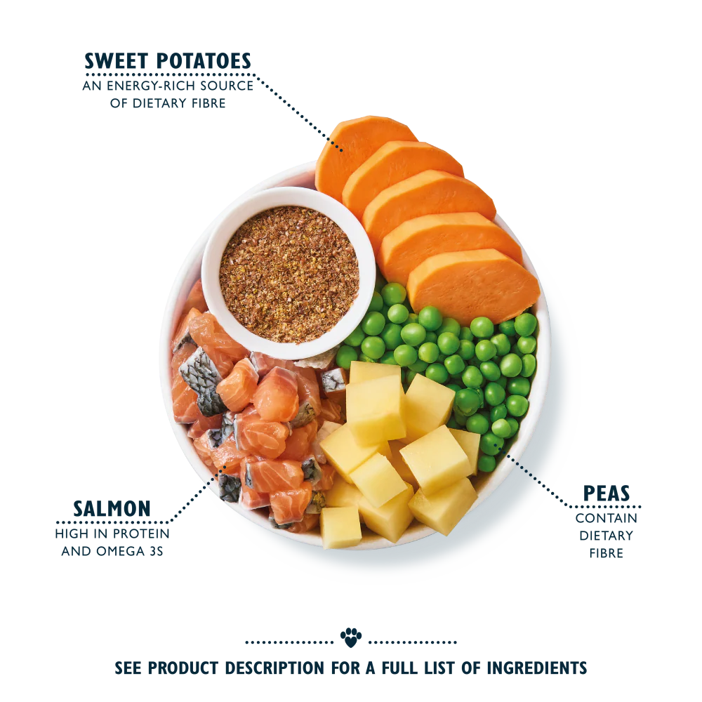 Lily's Kitchen Salmon Supper Adult Dog Dry Food