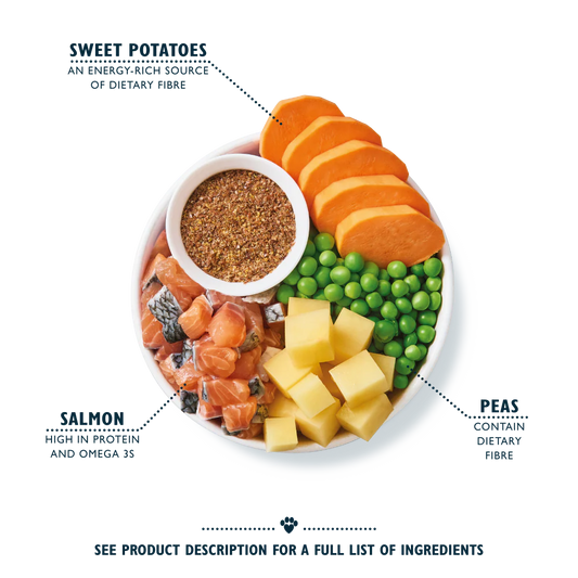 Lily's Kitchen Salmon Supper Adult Dog Dry Food