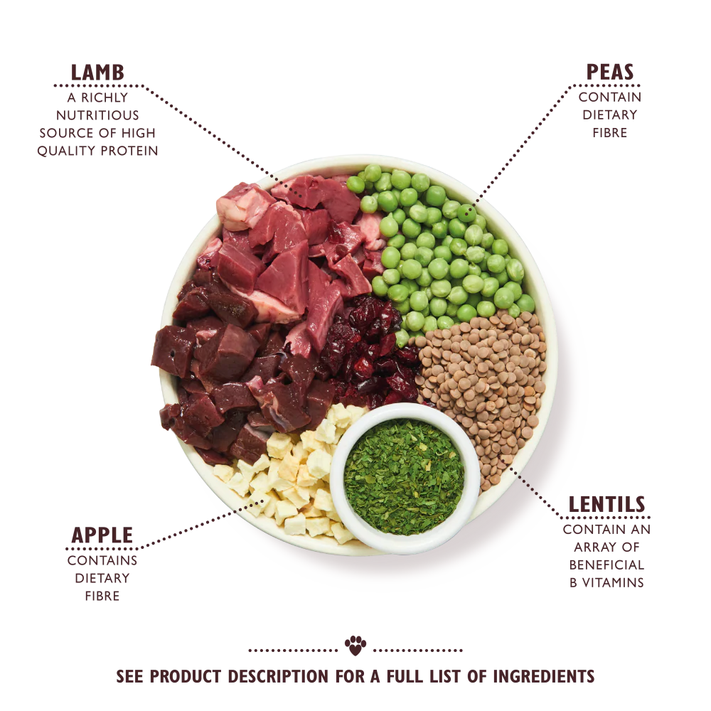 Lily's Kitchen Adult Shepherd's Pie– Dry Dog Food