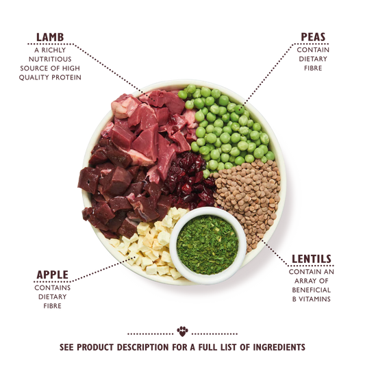 Lily's Kitchen Adult Shepherd's Pie– Dry Dog Food