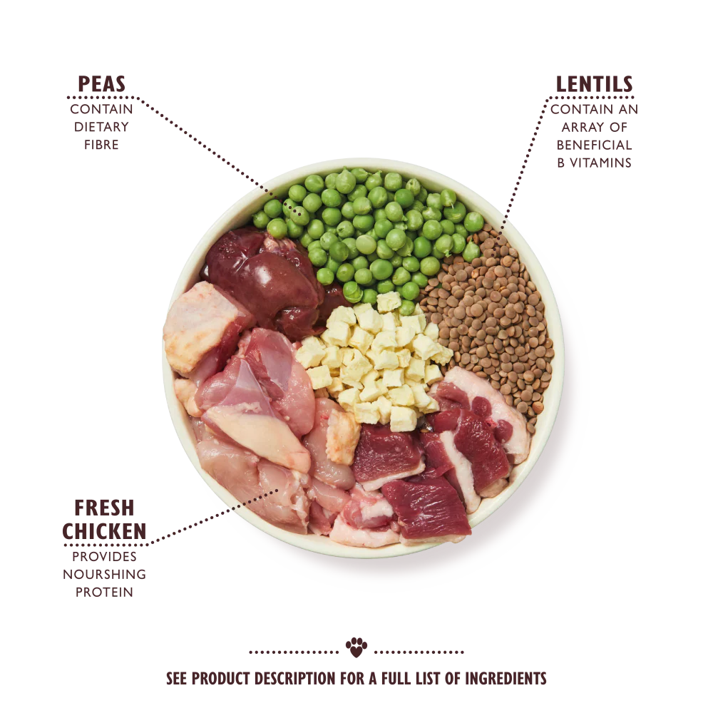 Lily's Kitchen Countryside Casserole Adult Dry Dog Food