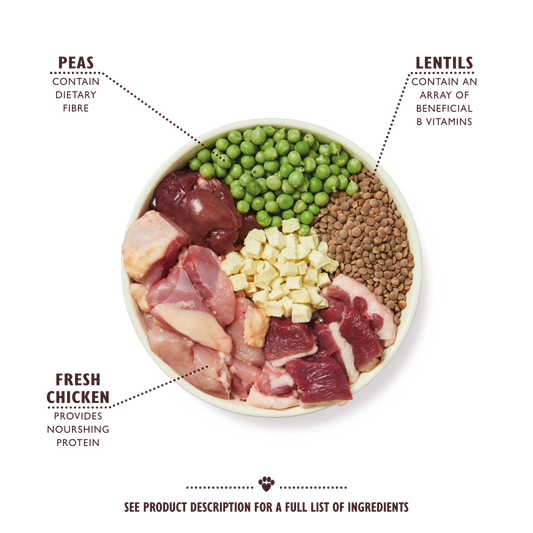 Lily's Kitchen Countryside Casserole Adult Dry Dog Food