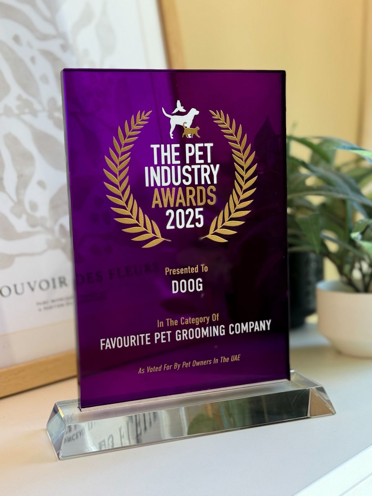Doog awarded best mobile pet grooming company in Dubai 2025