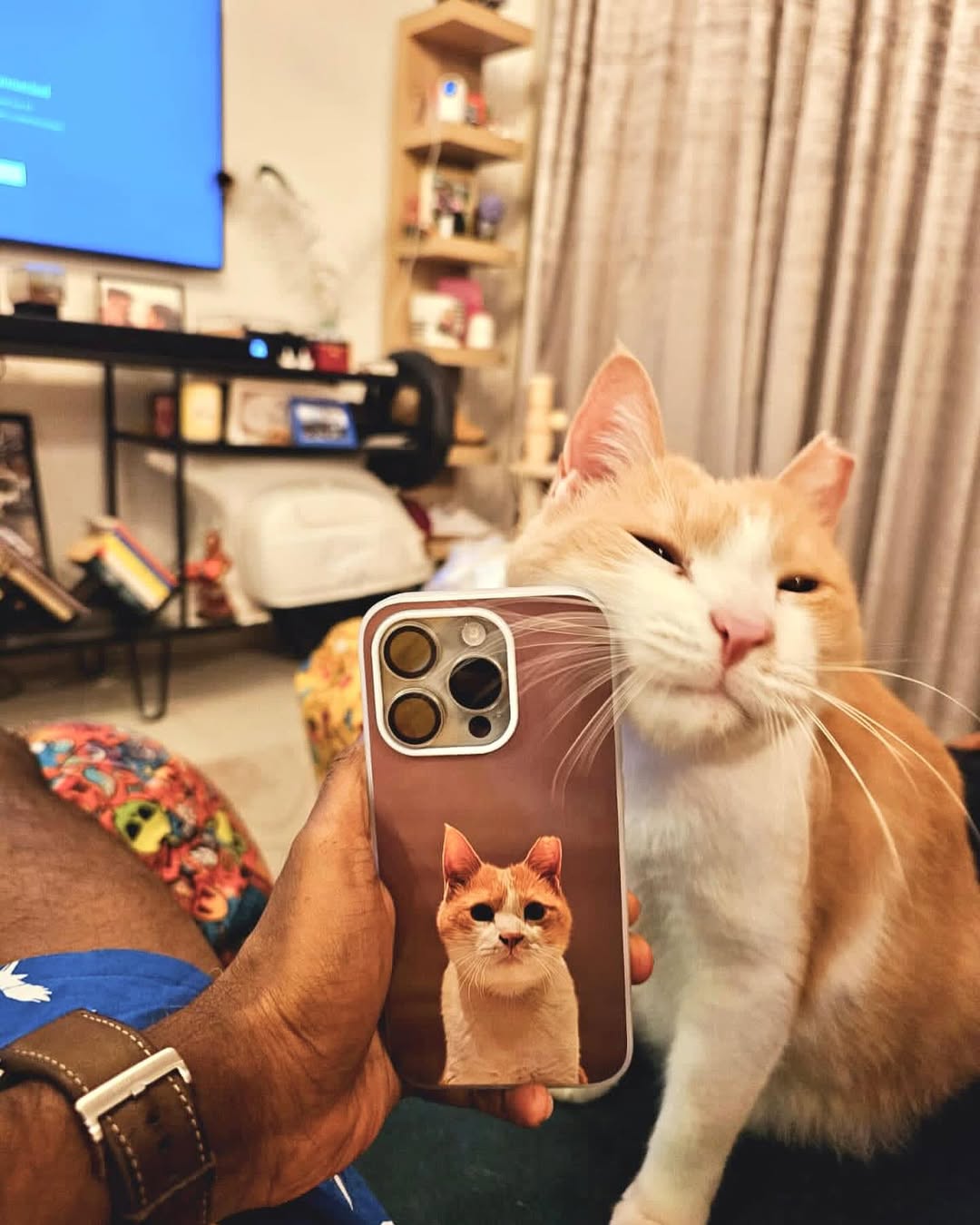 Phone Cases