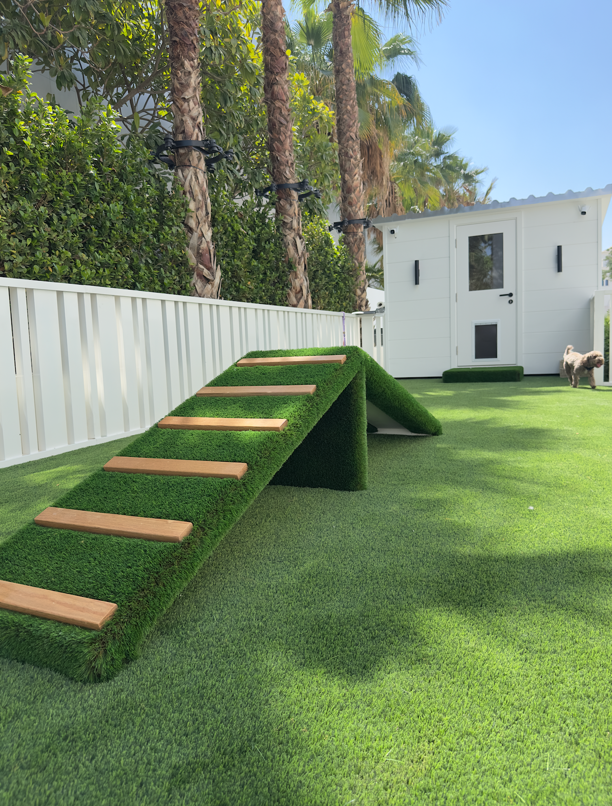 designer dog house dubai