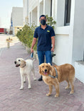 Load image into Gallery viewer, Dog walking Dubai
