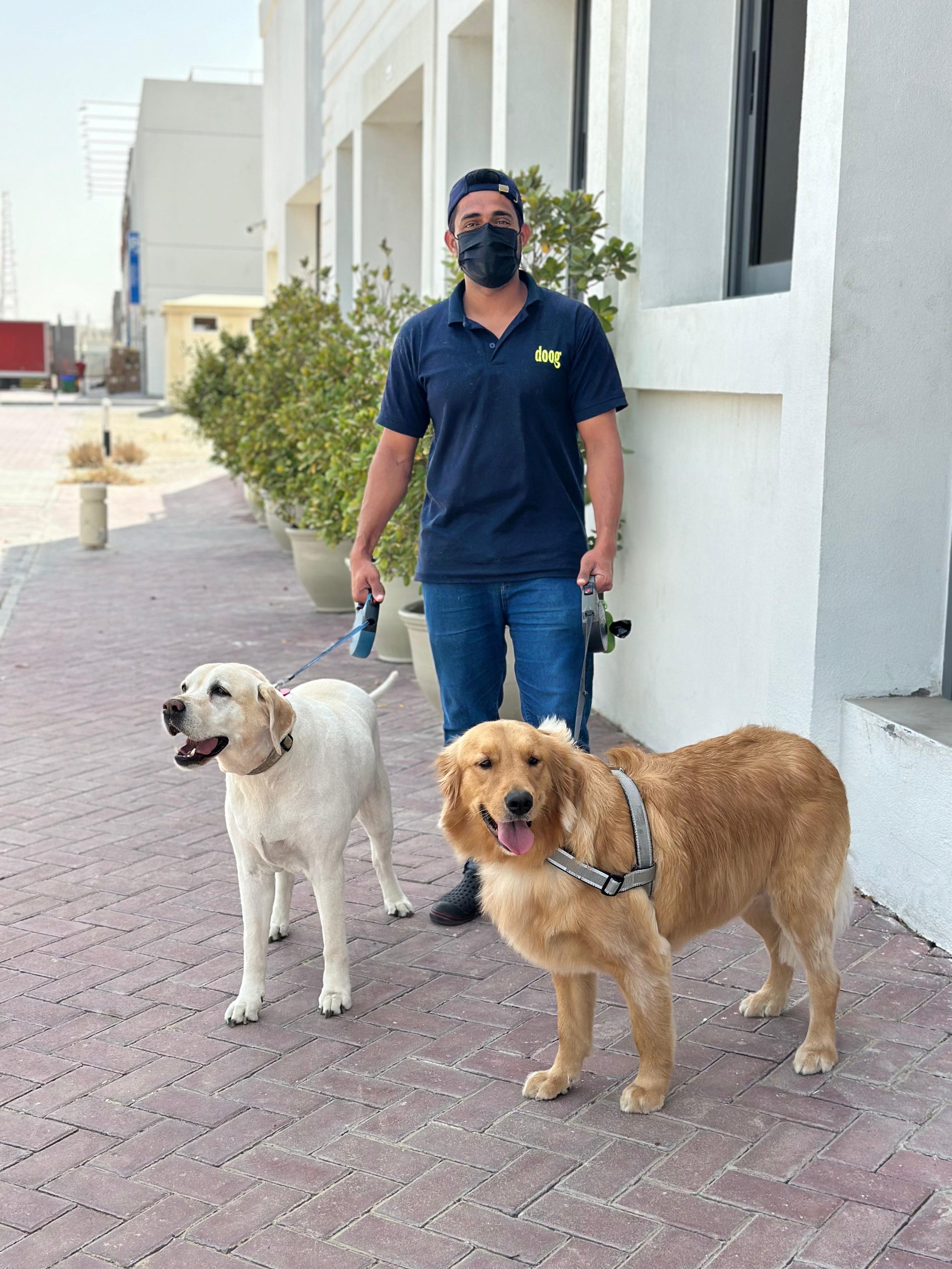 Dog walking Dubai