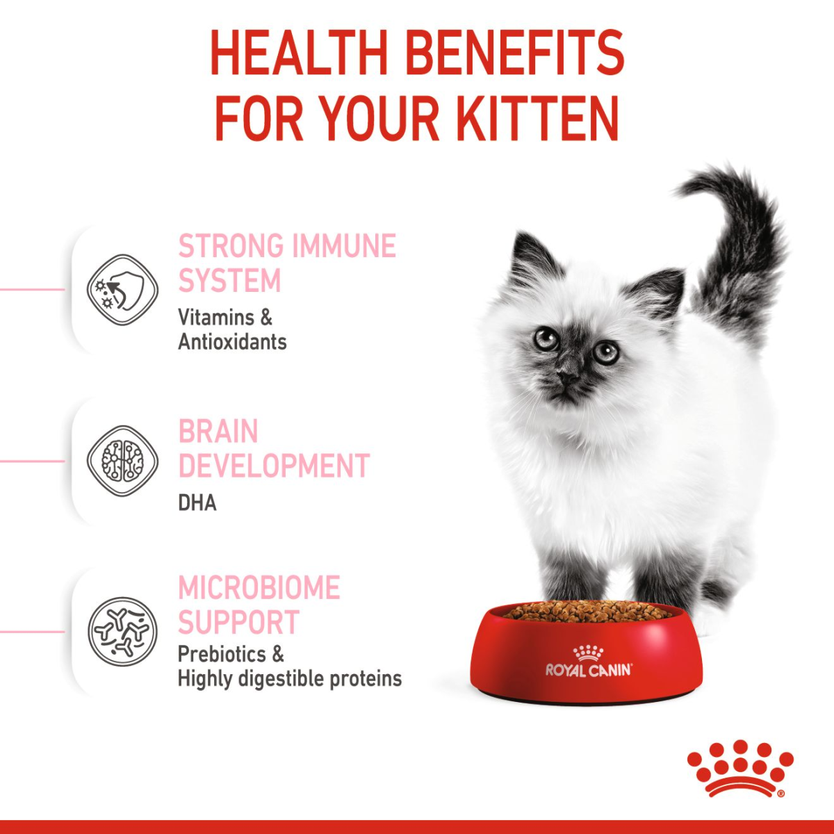 ROYAL CANIN Feline Health Nutrition Kitten 4 KG Buy Online Doog