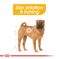 Load image into Gallery viewer, ROYAL CANIN® Canine Care Nutrition Medium Dermacomfort 12 KG Doog
