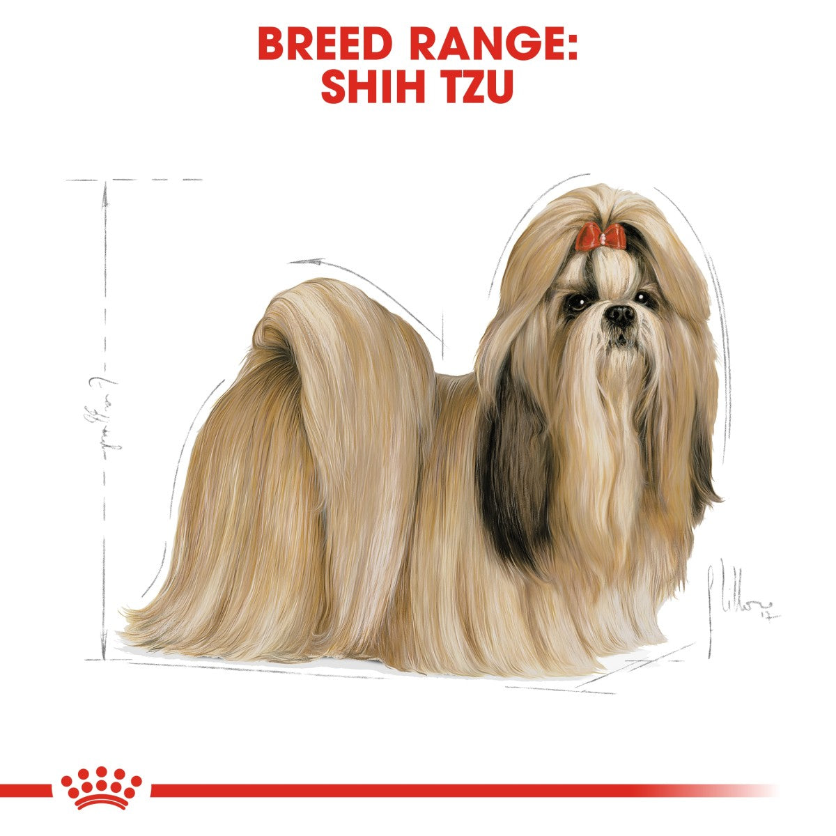 Royal Canin Breed Health Nutrition Shih Tzu Adult - 7.5 KG | Premium Dog Food for Shih Tzus Over 10 Months Doog