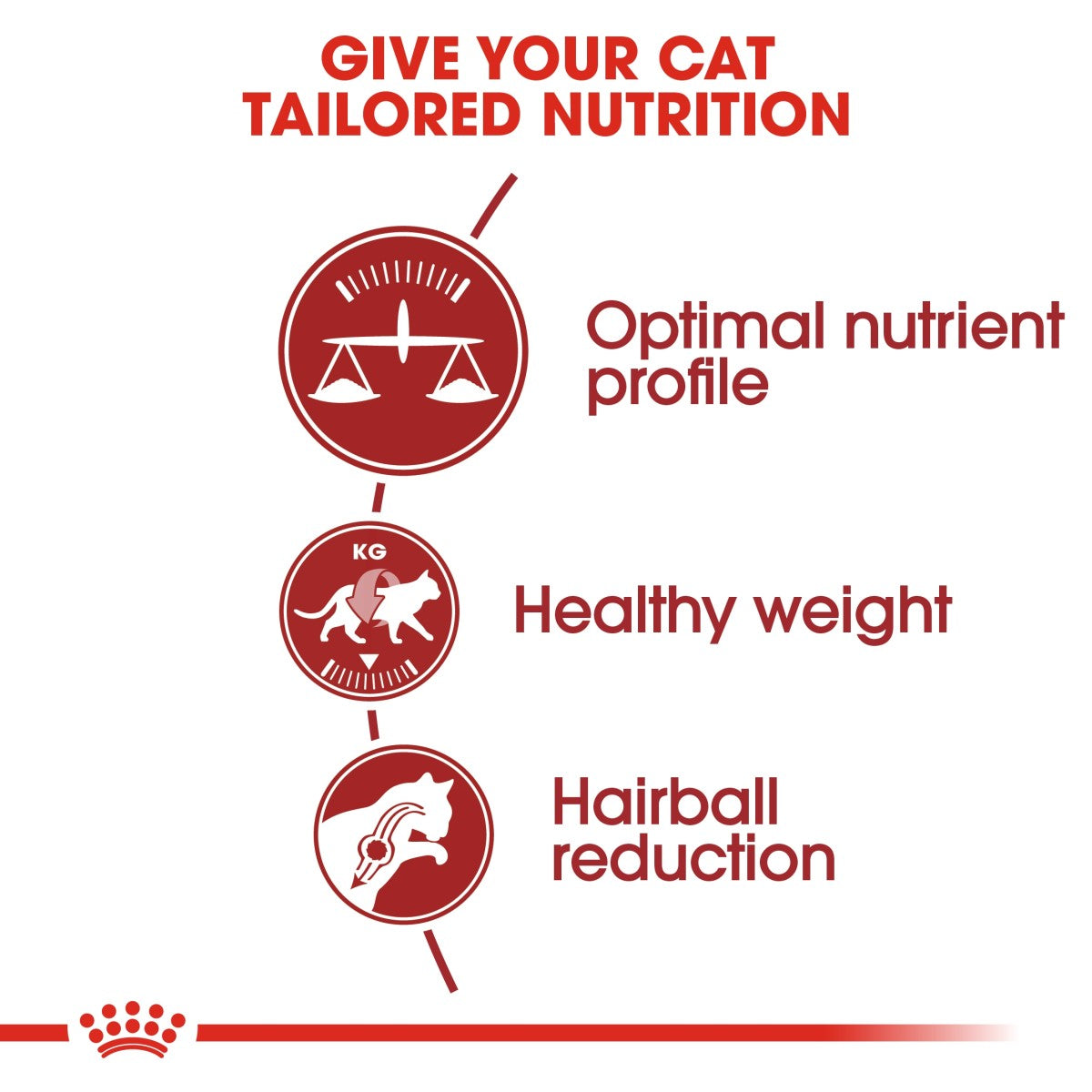 Royal Canin Feline Health Nutrition Fit 32 - 10 KG | Premium Dry Cat Food Doog