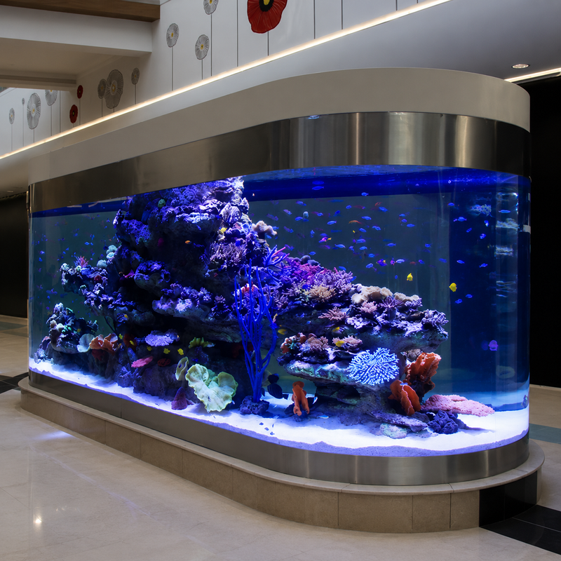 Large aquarium with colorful coral and fish in a modern indoor setting