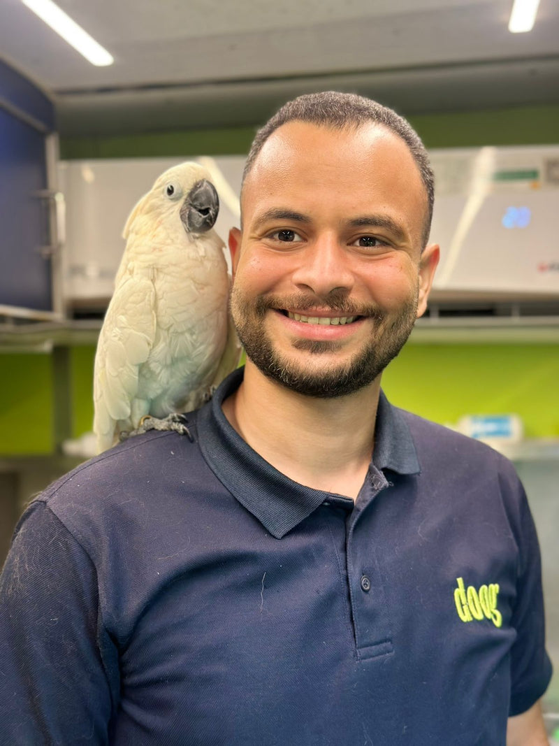 parrot dubai