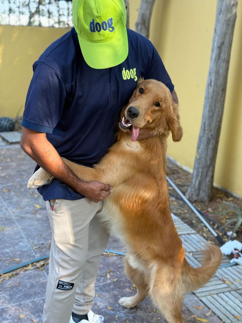 mobile pet grooming
