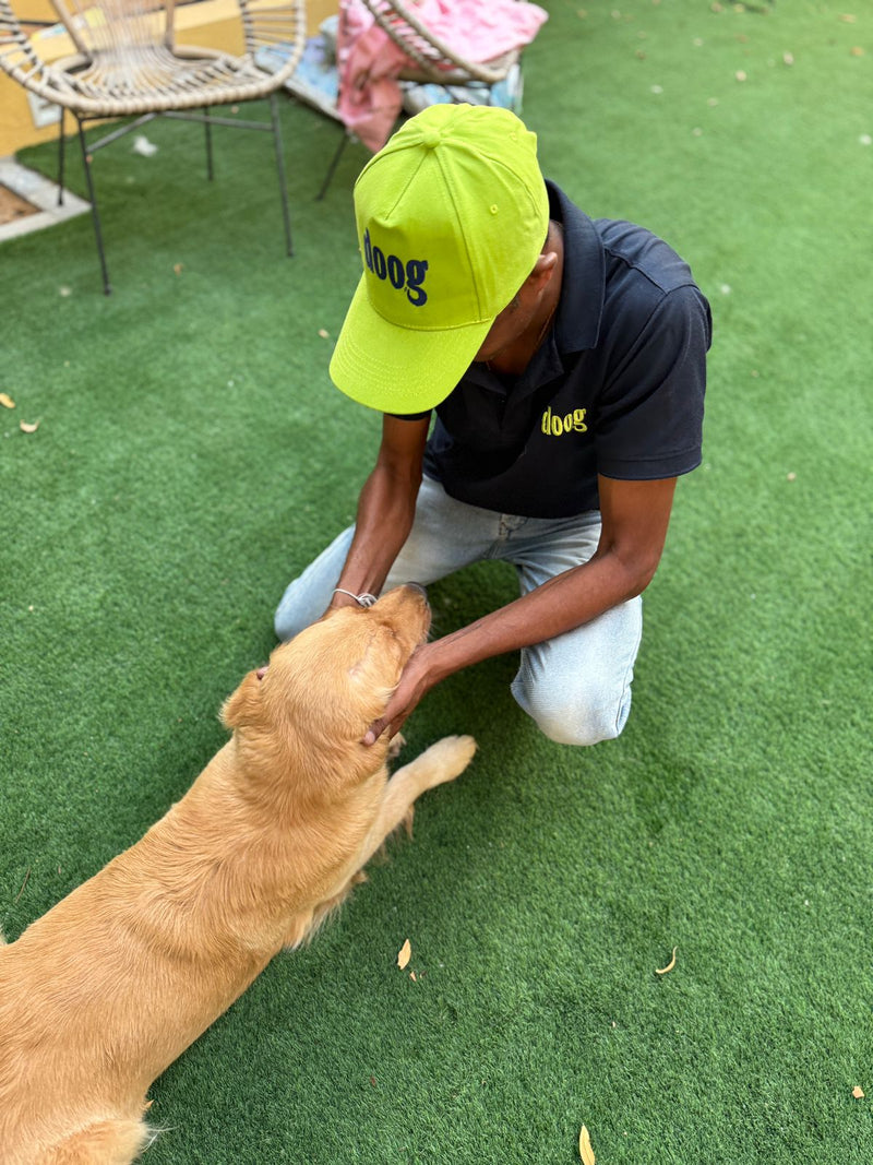 pet sitting in dubai